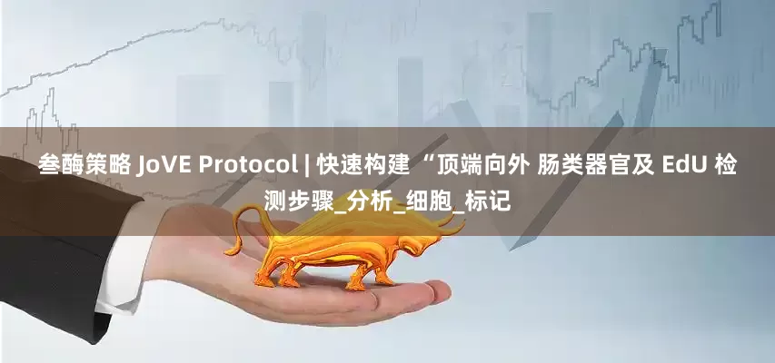 叁酶策略 JoVE Protocol | 快速构建 “顶端向外 肠类器官及 EdU 检测步骤_分析_细胞_标记